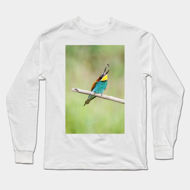 European bee-eater (Merops apiaster) Long Sleeve T-Shirt by GrahamPrentice